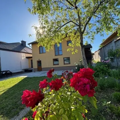 Gols - Top gepflegtes Einfamilienhaus in Ruhelage - Bild 2