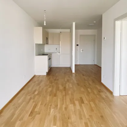 Kompakt und modern mit Gartenfläche - 2-Zimmer-Wohnung in den Kremser Weinbergen - Bild 3