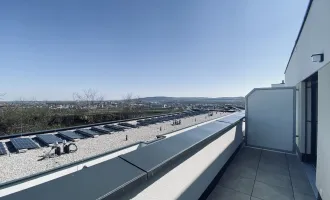 Erstbezug-Wohnung in Krems: 2 Zimmer, Terrasse & Top-Ausstattung!