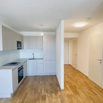 Erstbezug-Wohnung in Krems: 2 Zimmer, Terrasse & Top-Ausstattung! - Bild 3
