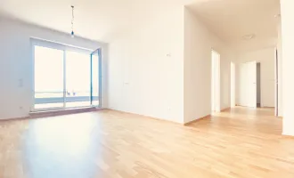 Neubau Erstbezug Drei Zimmer Terrassenwohnung mit Fernblick