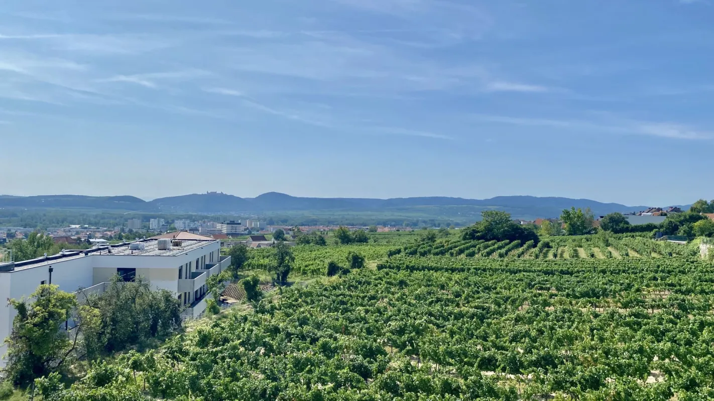 Neubau Erstbezug Sonnige Drei Zimmer Wohnung mit geräumiger Außenfläche und Fernblick - Bild 1