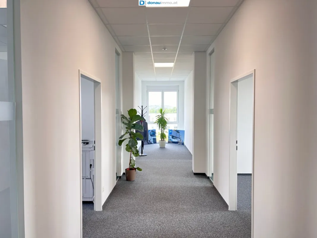 Neue Büroräume  In Gedersdorf bei Krems zu mieten - Bild 1