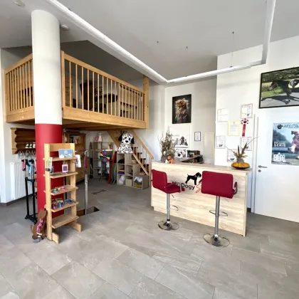 HIER ARBEITEN SIE AN SPITTALS ERSTER ADRESSE! TOP MODERNE GESCHÄFTSFLÄCHE MIT ATTRAKTIVEM FLAIR DAS ZUM FLANIEREN UND BUMMELN EINLÄDT! - Bild 3