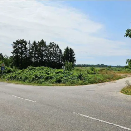 Ebreichsdorf / Grundstück ca. 7.200 m² (nicht teilbar) direkt an der B16 – Baurecht/Superädifikat/Miete - Bild 2