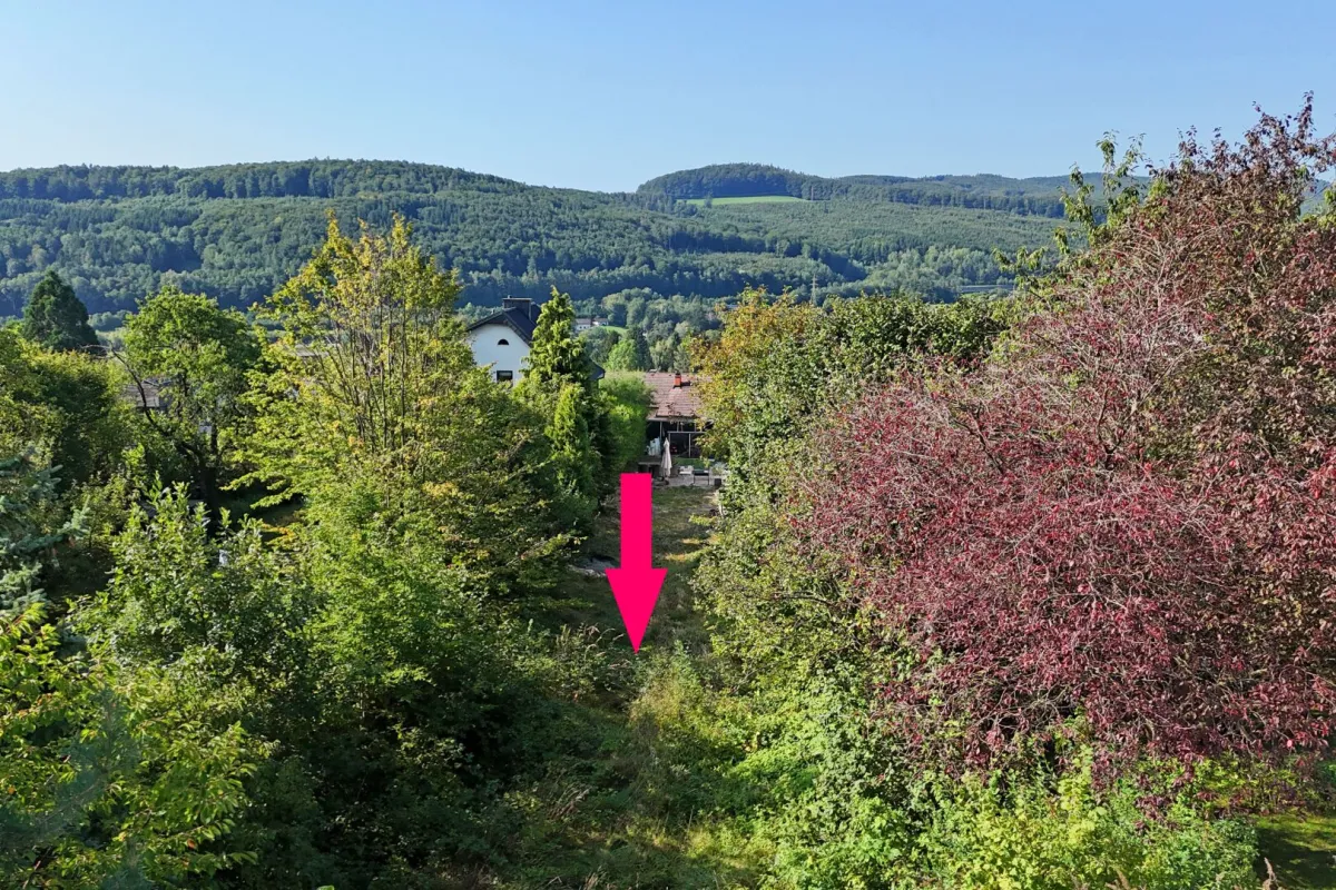 Herrliche Ruhelage am Waldrand am Karriegel - Bild 1