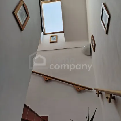 Einfamilienhaus mit großem Garten in ruhiger Sackgasse - Bild 3