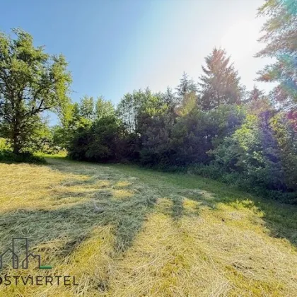 Großes Baugrundstück in Scheibbs!! PROVISIONSFREI! TOP LAGE!! - Bild 2
