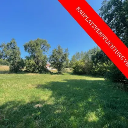 Baugrund in ruhiger neuer Siedlungslage in Scheibbs mit verlängerten Bauzwang!! PROVISIONSFREI! - Bild 2