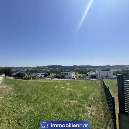 Südhang Grundstück mit Weitblick in Pichl bei Wels - KEIN BAUZWANG - Bild 2