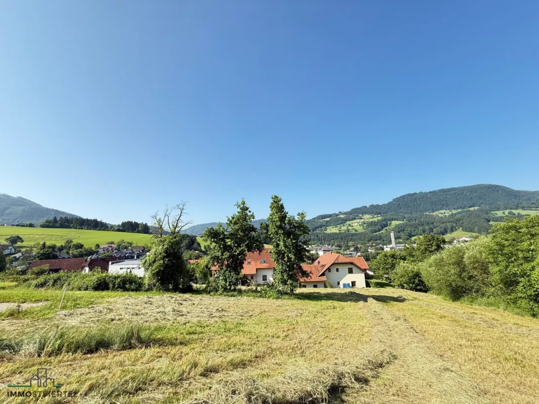 Großes Grundstück in bester Aussichtslage in Scheibbs!! PROVISIONSFREI! - Bild 1