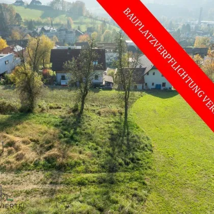 Großes Grundstück in bester Aussichtslage in Scheibbs!! PROVISIONSFREI! - Bild 2