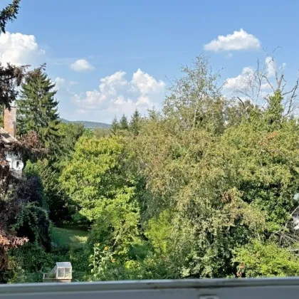 Denkmalgeschütztes Gebäude mit Potenzial zur Erweiterung - Bild 2