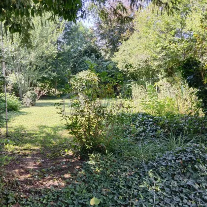 Romantisches Haus mit großem Garten - Bild 3