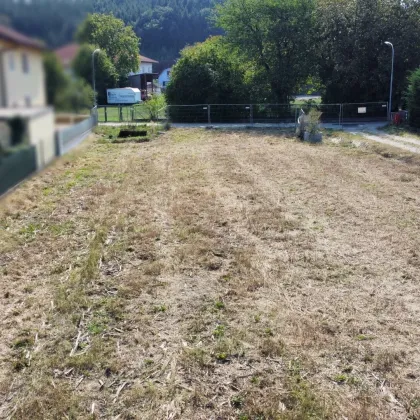 Tolles Baugrundstück in Ochsenburg - Bild 3