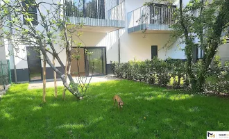 Gartenwohnung: Kirsch- und Feigenernte in diesem Sommer nähe Alte Donau