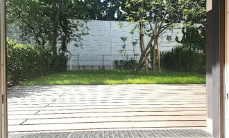 Gartenwohnung: Kirsch- und Feigenernte in diesem Sommer nähe Alte Donau