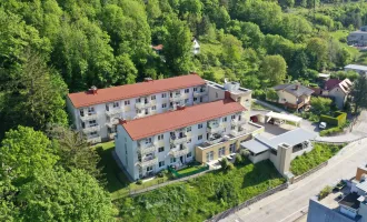 SENIORENWOHNUNG: sonnige 1-Zimmer-Wohnung mit großzügigen Balkon in Waldegg - Top 20