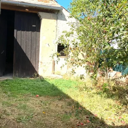 Mitterretzbach bei Retz -Bauernhaus, zwei Wohneinheiten, 2 Stadel. Garage - Bild 3