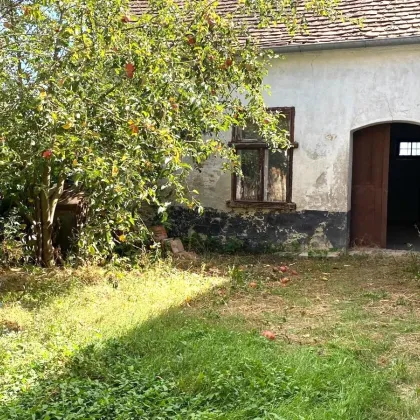 Mitterretzbach bei Retz -Bauernhaus, zwei Wohneinheiten, 2 Stadel. Garage - Bild 2