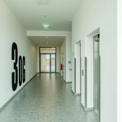 Größe individuell gestaltbar! Moderne Erstbezugs Gewerbe - und Büroflächen in Leibnitz! - Bild 3