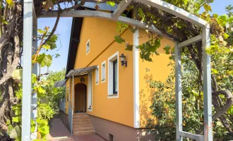 EINFAMILIENHAUS IN TOP-ZUSTAND - idyllische Grünruhelage
