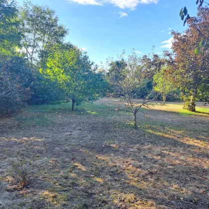 Traumhaftes Baugrundstück in Gänserndorf Süd - Perfekt für Ihr Eigenheim! € 219.000,- für 600m² in Niederösterreich. - Bild 2