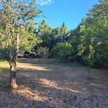 Traumhaftes Baugrundstück in Gänserndorf Süd - Perfekt für Ihr Eigenheim! € 219.000,- für 600m² in Niederösterreich. - Bild 3