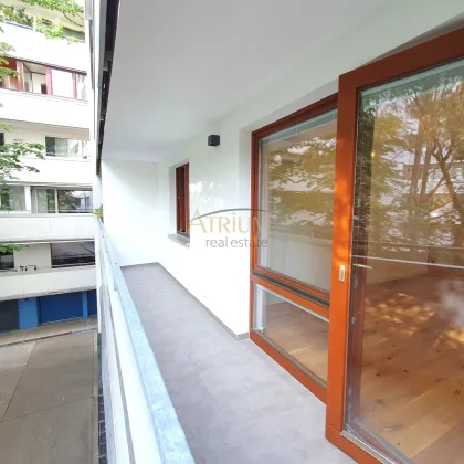 Klimatisierte 2-Zimmerwohnung mit Loggia nahe U6 Dresdnerstraße  - Erstbezug! - Bild 3