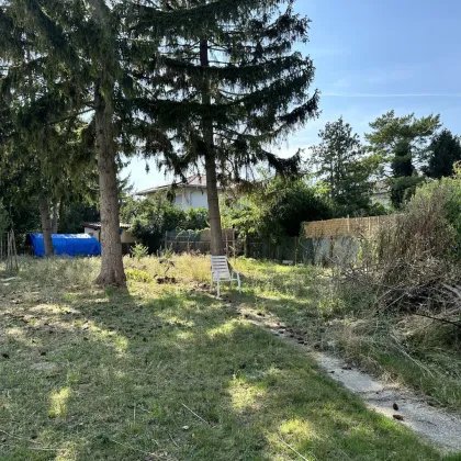 Baurechtsgrundstück (Pacht) mit 774 m2 in Aspern: Vertrag verlängerbar! - Bild 2