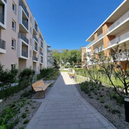 Motorrad Einstellplätze - Tiefgaragenplatz beim Traisenpark zu mieten - Bild 3