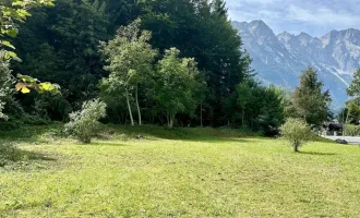 XL-Grundstück für Privathaus in naturnaher Lage von Kuchl!