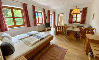 360 Tour / Bestens eingeführtes, modernes Apartmenthotel mit Fernblick in sehr guter Lage von Bad Kleinkirchheim