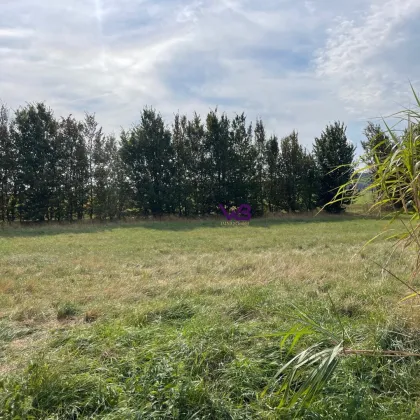 Exklusives Baugrundstück für ein Einfamilien oder ein Doppelhaus! - Bild 2