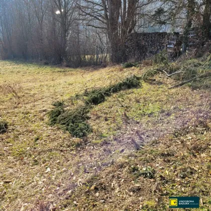 PRESSBAUM!  SCHLÜSSELFERTIGES FAMILIENEIGENTUM AUF 765m² EIGENGRUND IN BESTER LAGE. - Bild 3