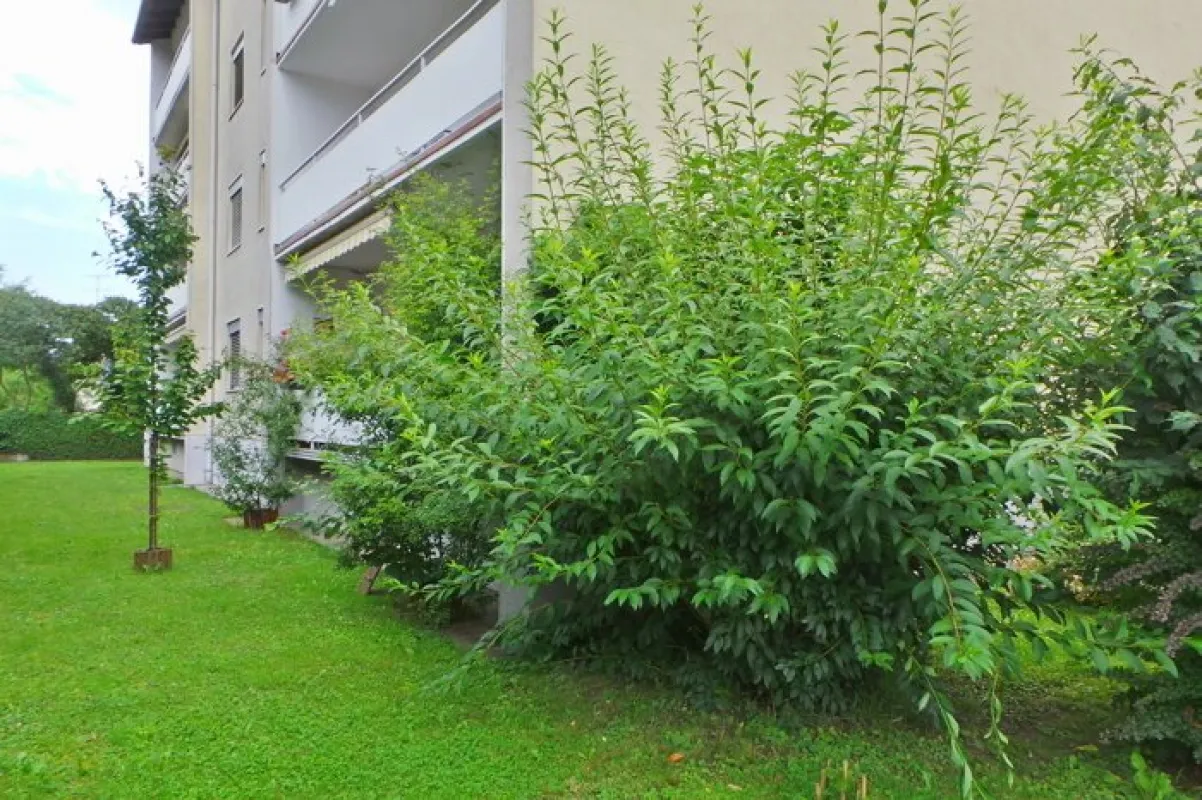 Zentrale Stadtlage,modern sanierte 3ZI+Balkon,Carport, Allg.Garten, Spielplatz - Bild 1
