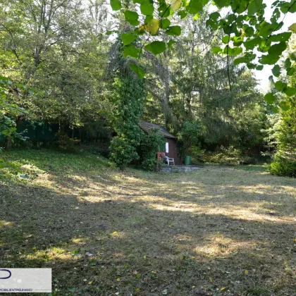 Schöner Kleingarten-Baugrund mit eigener PKW Zufahrt und Wienblick! - Bild 3