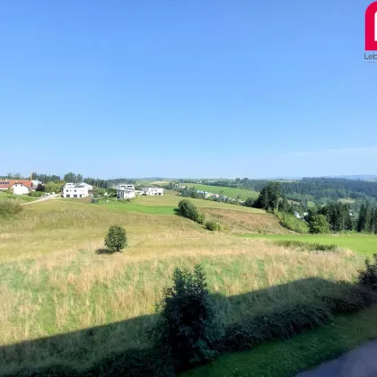 Schöne Wohnung in neu saniertem Gebäude - Bild 2