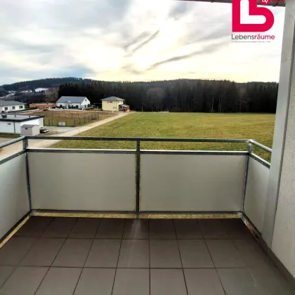 Helle 3-Zimmer Wohnung mit sonniger Loggia und herrlichem Ausblick in Traberg - Bild 2