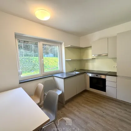 NÄHE LKH GRAZ: Helle 4-Zimmer-Wohnung mit 4 Balkonen und großzügigem Allgemeingarten - Bild 2