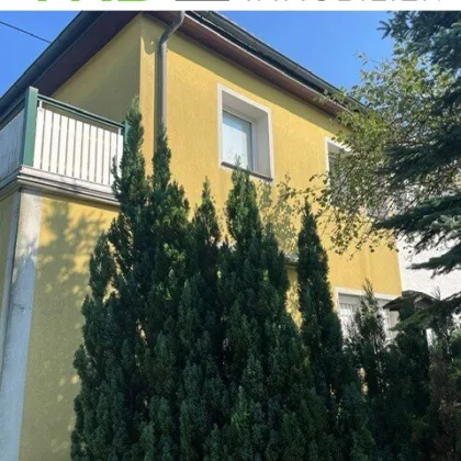 Ihr neues Zuhause: Halbes Doppelhaus in ruhiger Gegend - Bild 3