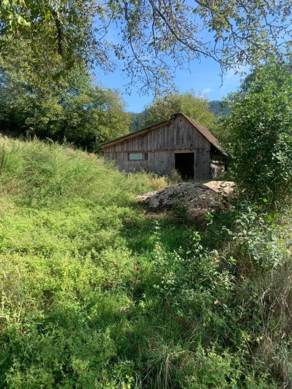 St Veit / St Donat : 2,7 Ha Land- und Forstw. -Grundstück mit Widmungpotenzial , zzt Pferde Weide mit Stall & Quelle,  in traumhafter Lage in Kärnten -  für 299.000,00 € zu haben! - Bild 1