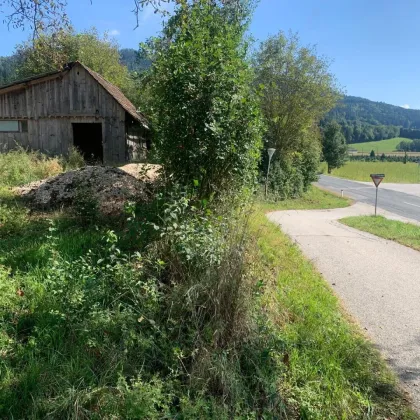St Veit / St Donat : 2,7 Ha Land- und Forstw. -Grundstück mit Widmungpotenzial , zzt Pferde Weide mit Stall & Quelle,  in traumhafter Lage in Kärnten -  für 299.000,00 € zu haben! - Bild 2