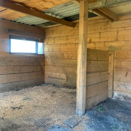 St Veit / St Donat : 2,7 Ha Land- und Forstw. -Grundstück mit Widmungpotenzial , zzt Pferde Weide mit Stall & Quelle,  in traumhafter Lage in Kärnten -  für 299.000,00 € zu haben! - Bild 3