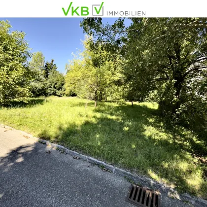 SEEWALCHEN AM ATTERSEE: Exklusives Wohn- und Arbeitsrefugium mit Weinkeller und Doppelcarport in begehrter Lage! - Bild 3