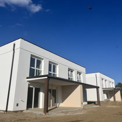 ERSTBEZUG DOPPELHÄUSER/REIHENHÄUSER IN MIETKAUF IN DER WUNDERBAREN GEGEND GESCHRIEBENSTEIN - Bild 3