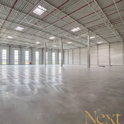 NEUBAU - Lager-/Produktionshalle (optional mit Büroflächen) in Enns/Ennshafen zu vermieten! - Bild 3