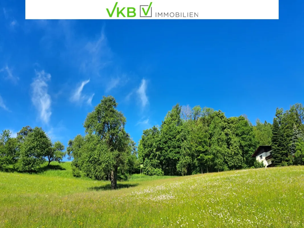 Bad Schallerbach: NEUER PREIS Großflächiges Baugrundstück (6395m²) in Zentrumslage zu verkaufen! - Bild 1