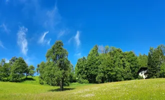 Bad Schallerbach: NEUER PREIS Großflächiges Baugrundstück (6395m²) in Zentrumslage zu verkaufen!