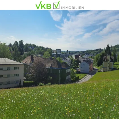 Bad Schallerbach: NEUER PREIS Großflächiges Baugrundstück (6395m²) in Zentrumslage zu verkaufen! - Bild 3